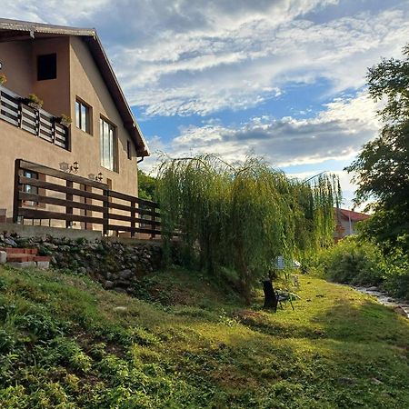 Casa Radu Leilighet Novaci-Străini Eksteriør bilde