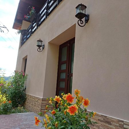 Casa Radu Leilighet Novaci-Străini Eksteriør bilde