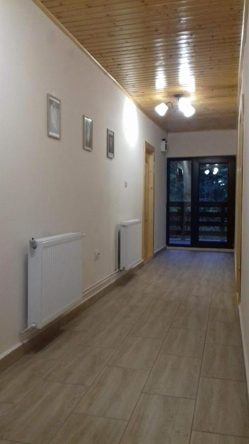 Casa Radu Leilighet Novaci-Străini Eksteriør bilde