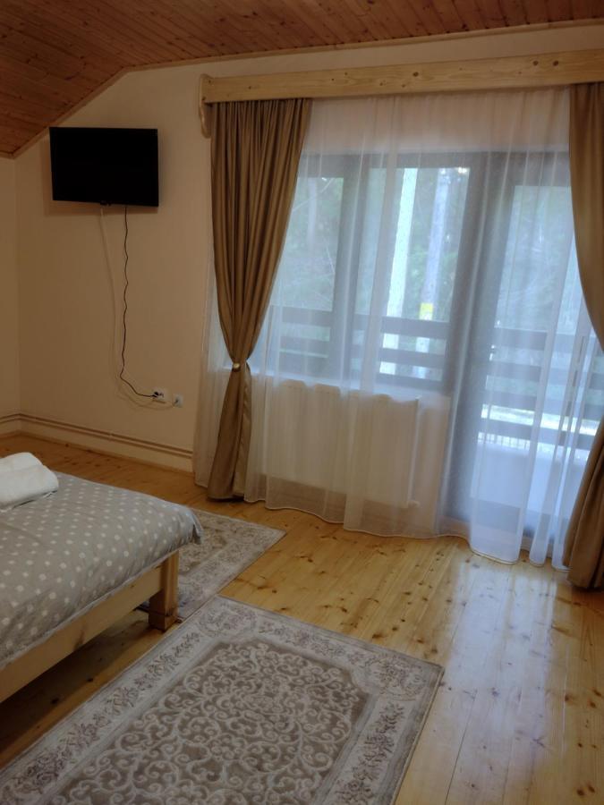 Casa Radu Leilighet Novaci-Străini Eksteriør bilde