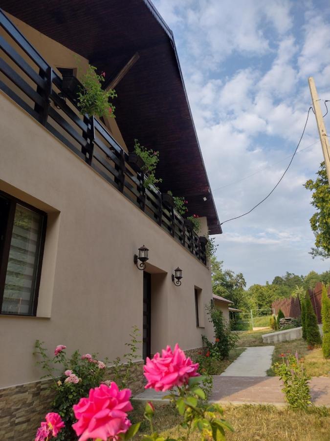 Casa Radu Leilighet Novaci-Străini Eksteriør bilde