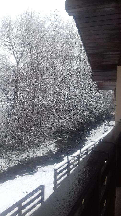 Casa Radu Leilighet Novaci-Străini Eksteriør bilde