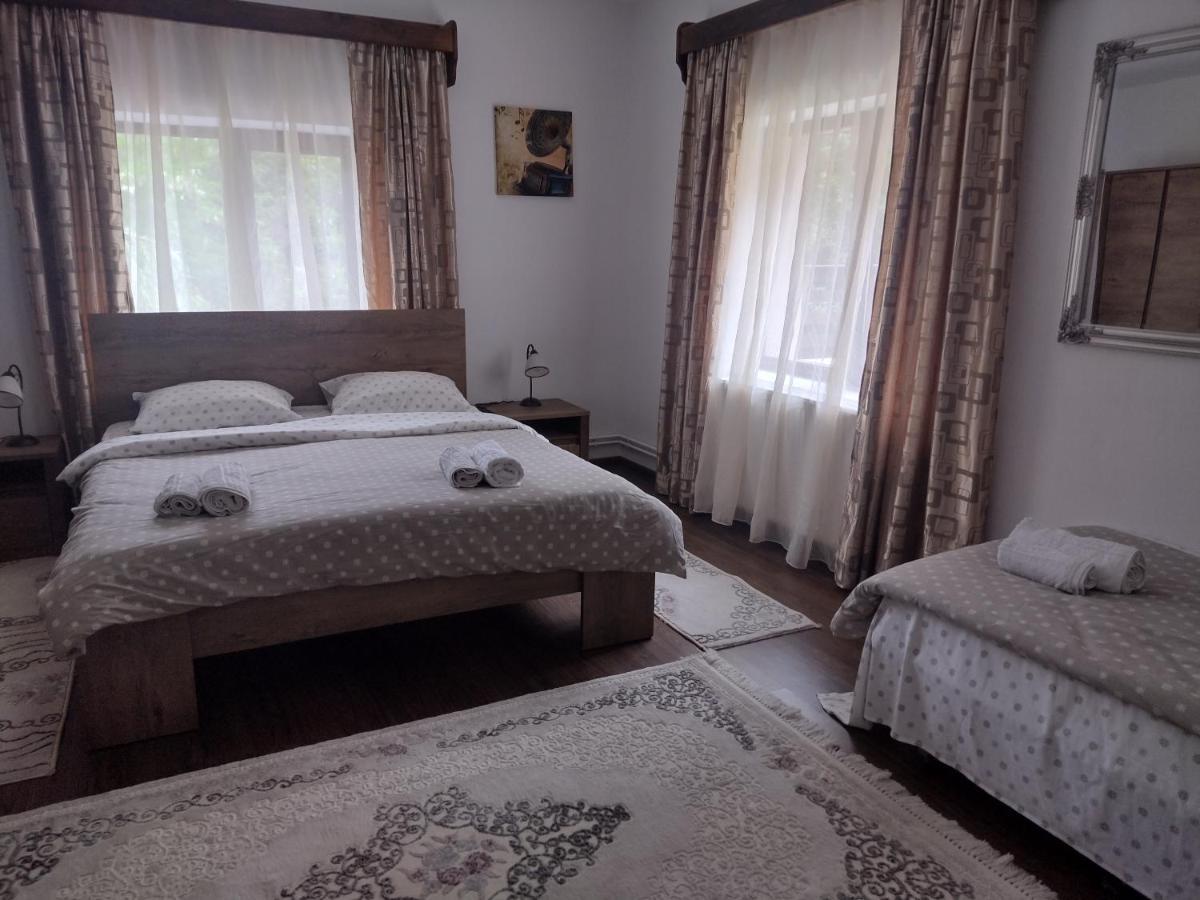 Casa Radu Leilighet Novaci-Străini Eksteriør bilde