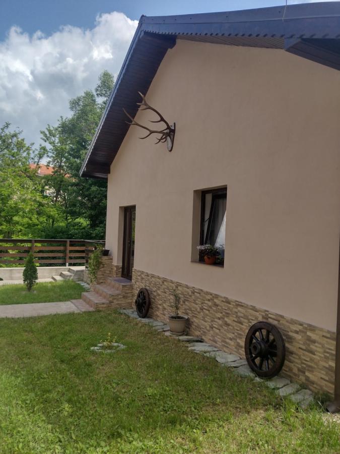 Casa Radu Leilighet Novaci-Străini Eksteriør bilde