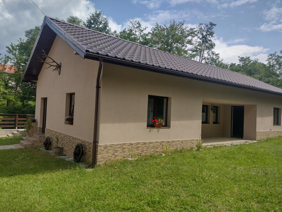 Casa Radu Leilighet Novaci-Străini Eksteriør bilde