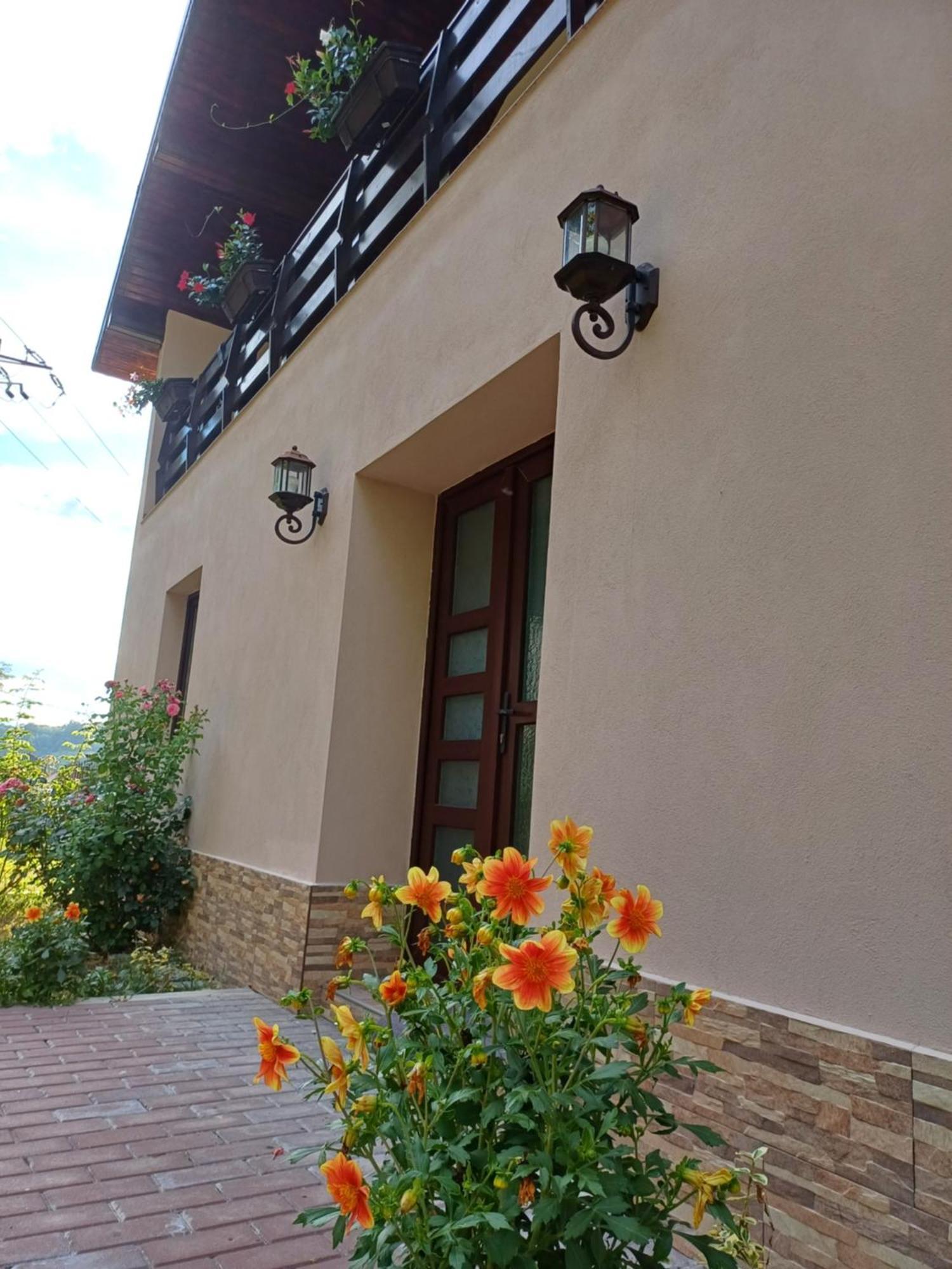 Casa Radu Leilighet Novaci-Străini Eksteriør bilde