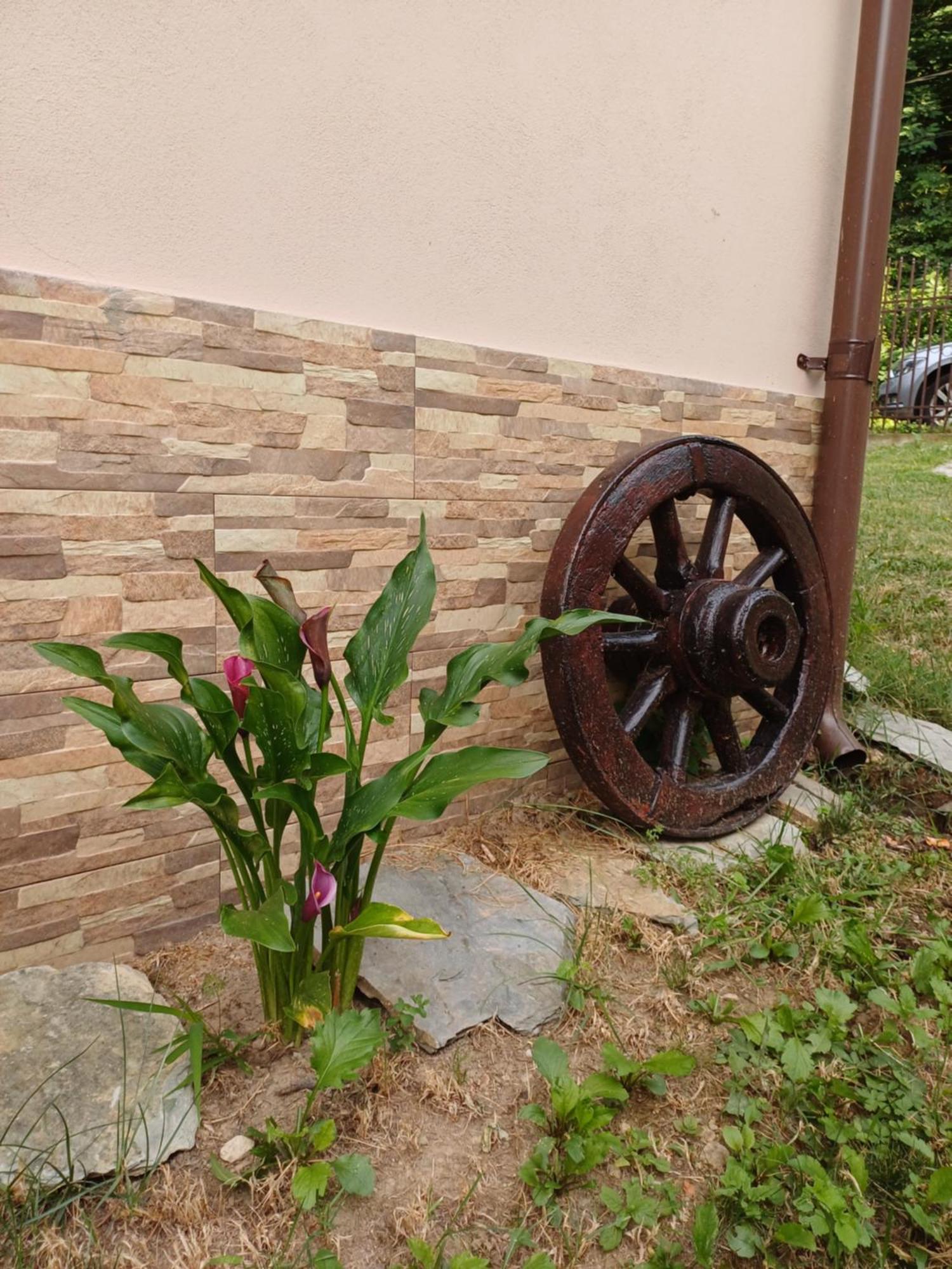 Casa Radu Leilighet Novaci-Străini Eksteriør bilde
