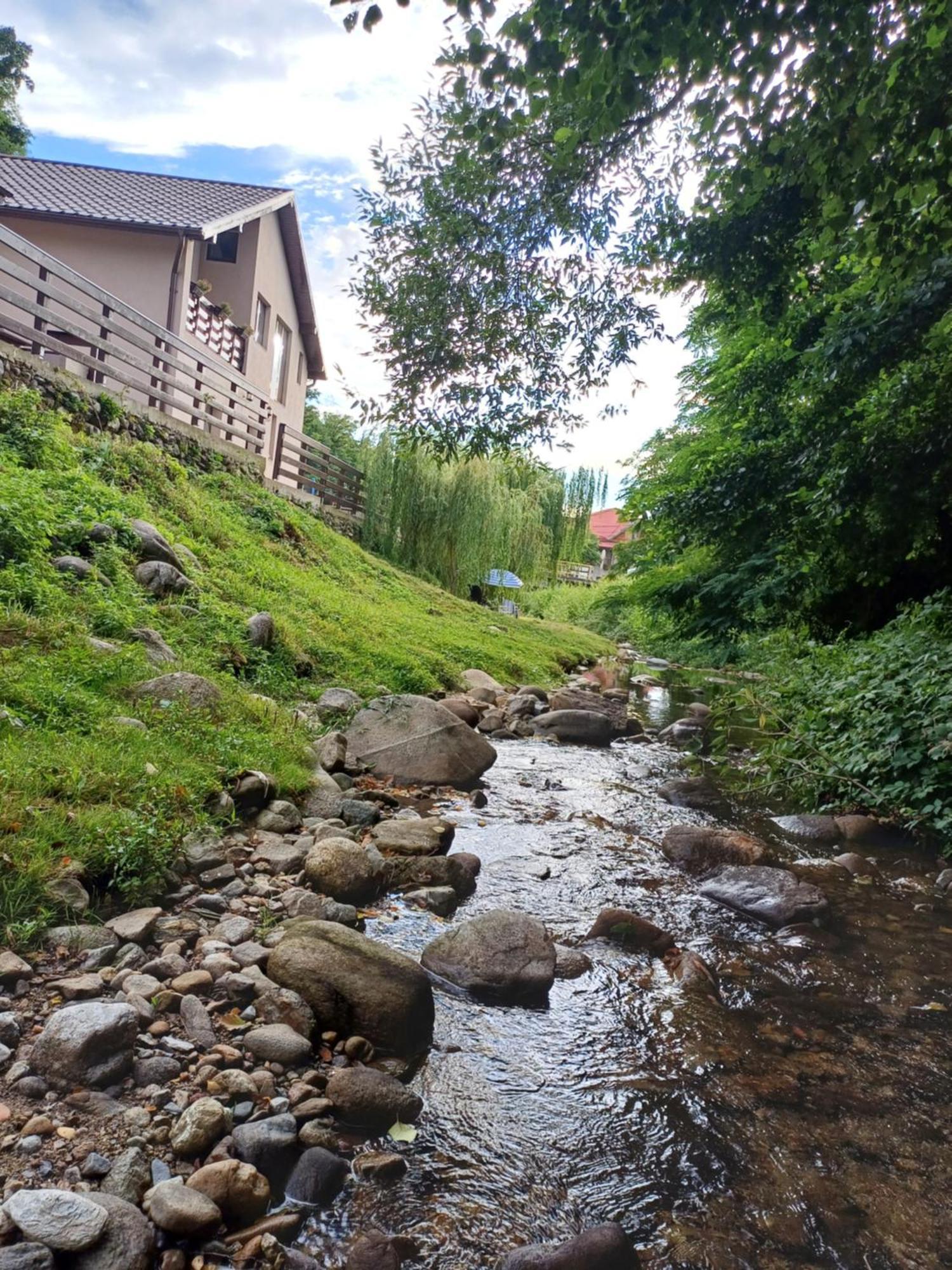 Casa Radu Leilighet Novaci-Străini Eksteriør bilde