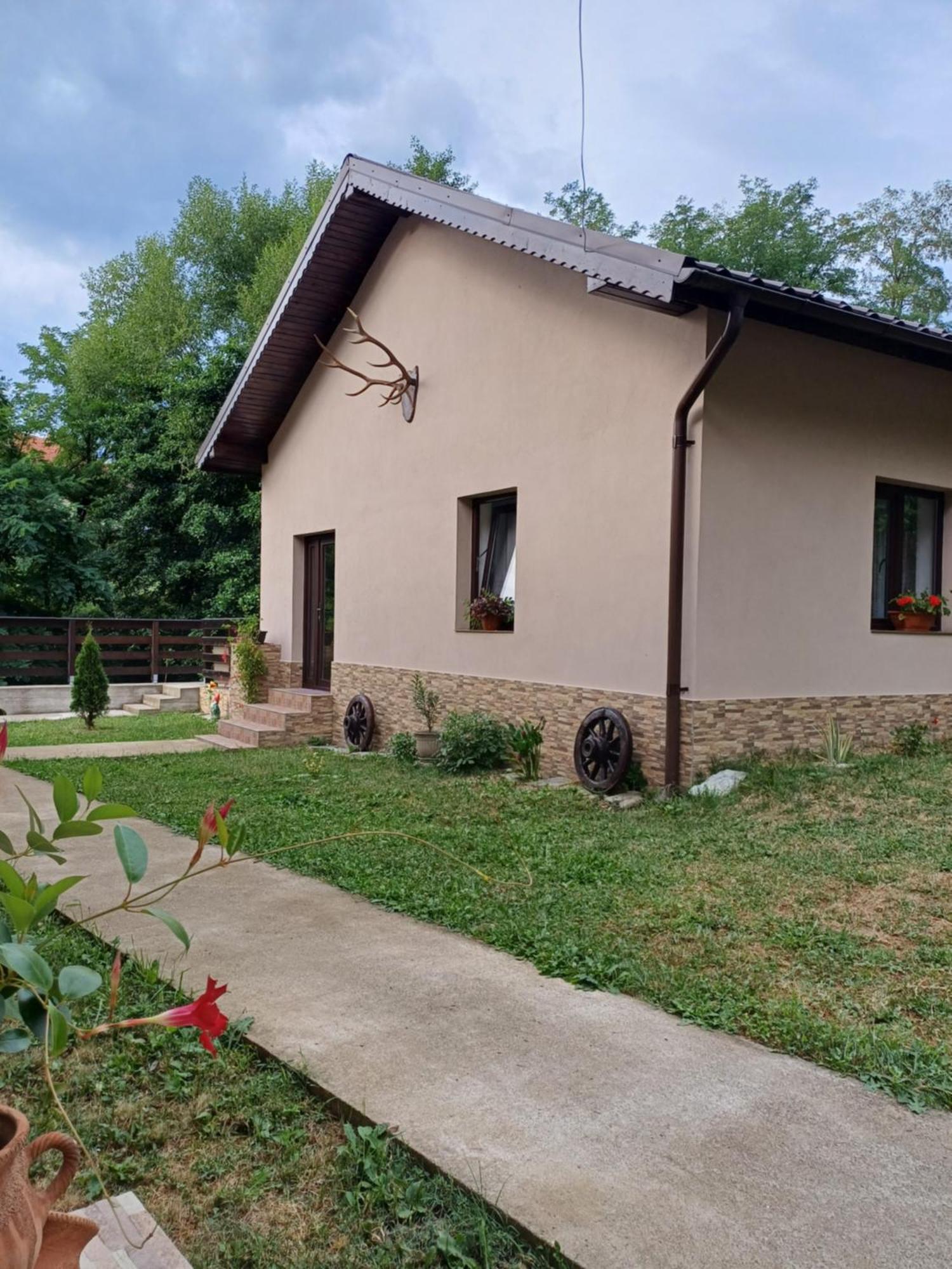 Casa Radu Leilighet Novaci-Străini Eksteriør bilde