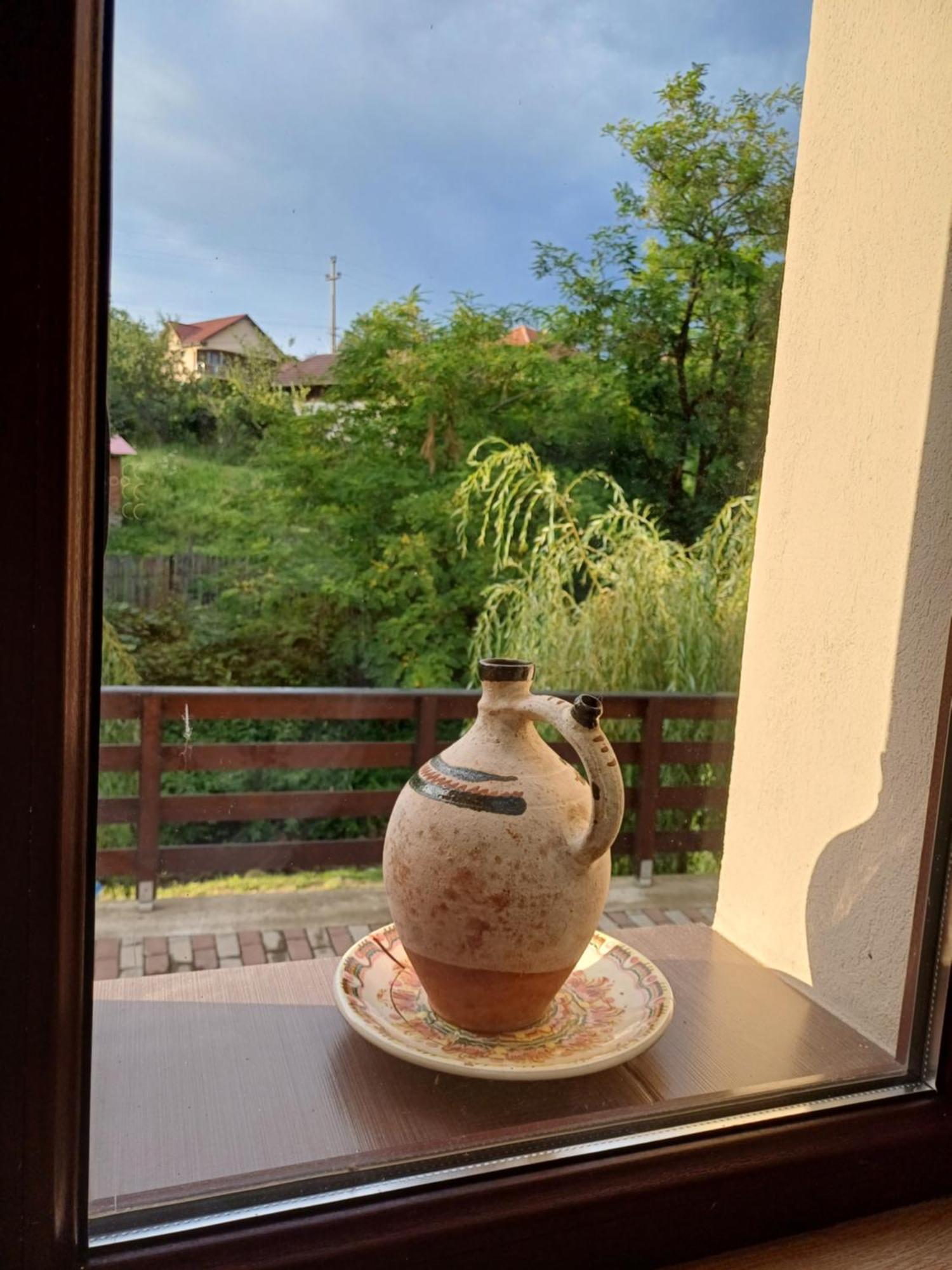 Casa Radu Leilighet Novaci-Străini Eksteriør bilde