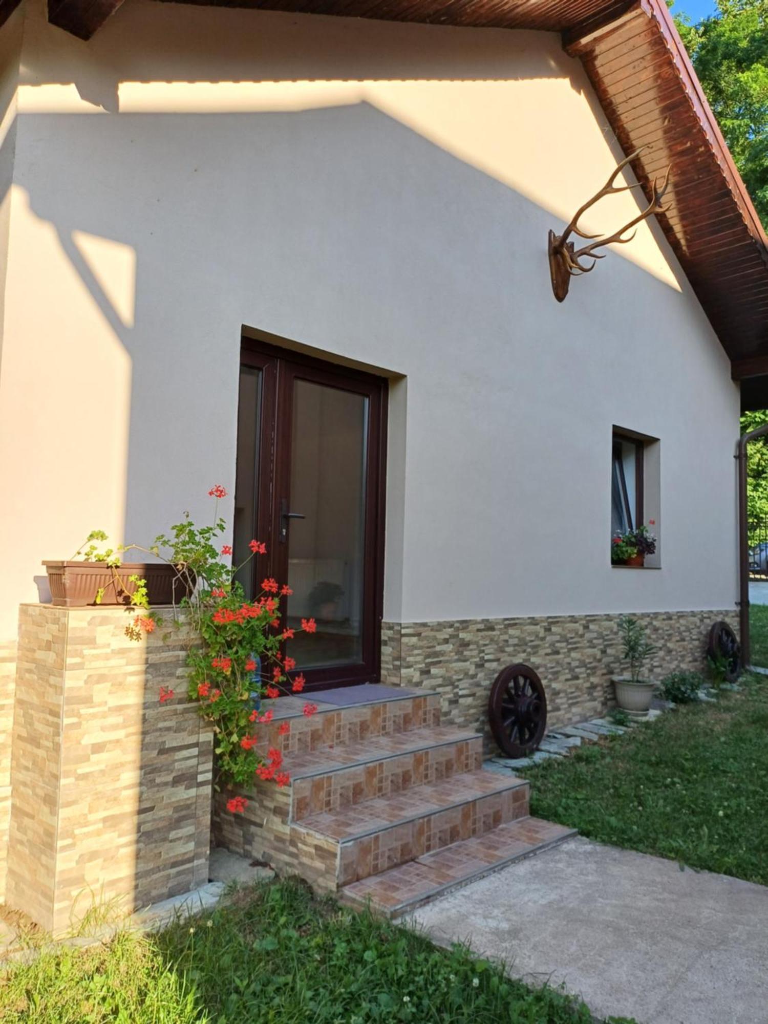 Casa Radu Leilighet Novaci-Străini Eksteriør bilde