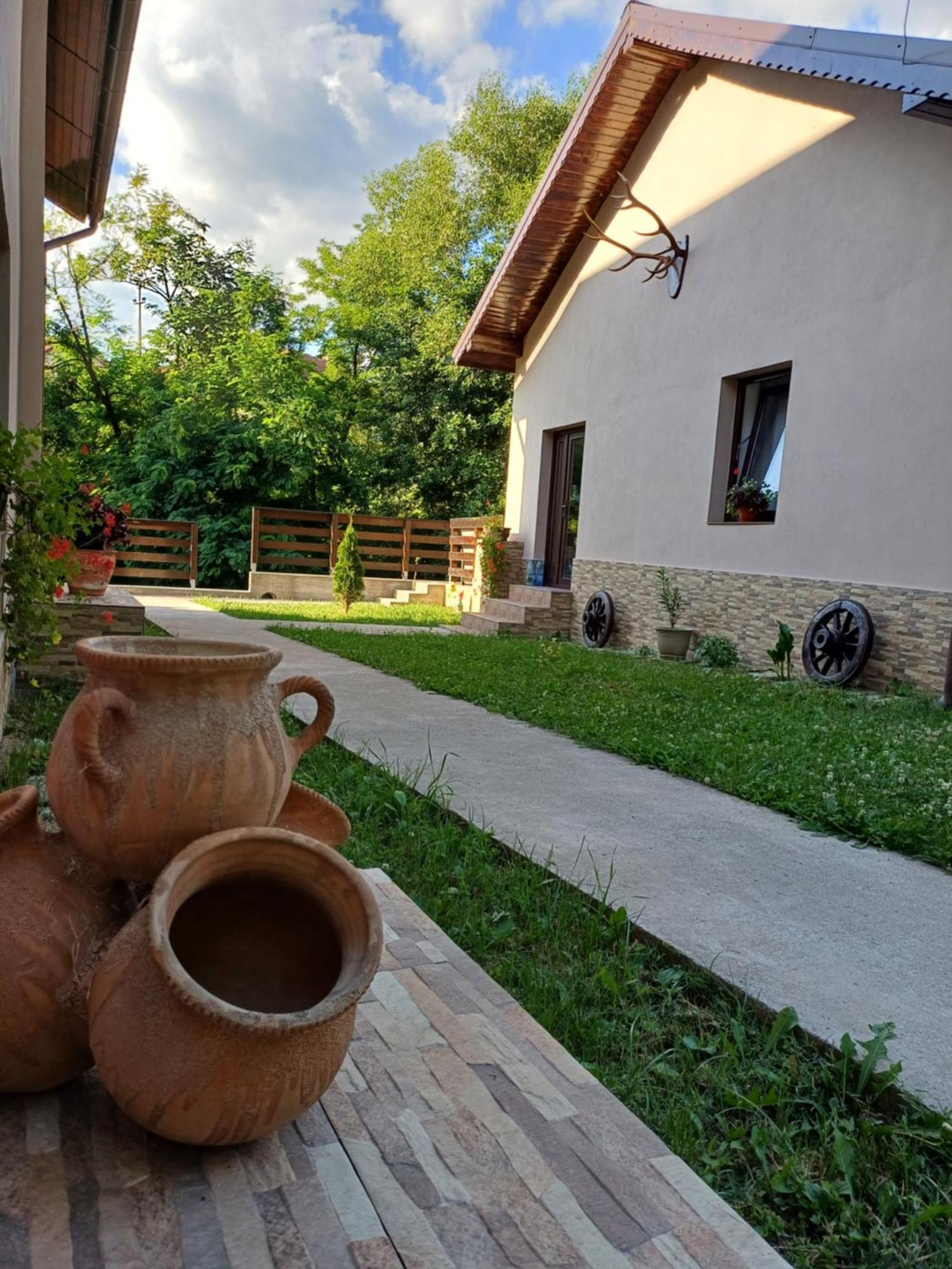 Casa Radu Leilighet Novaci-Străini Eksteriør bilde