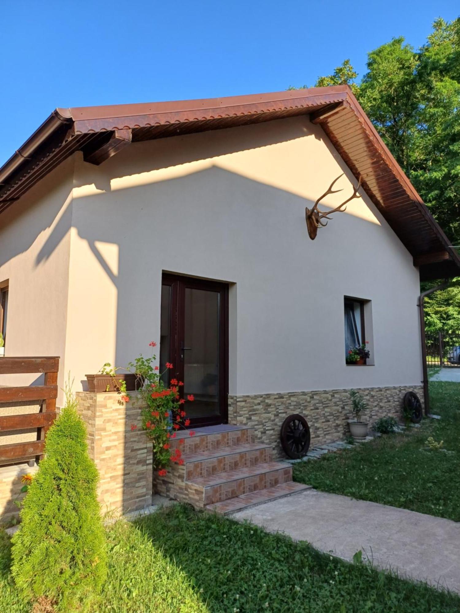 Casa Radu Leilighet Novaci-Străini Eksteriør bilde