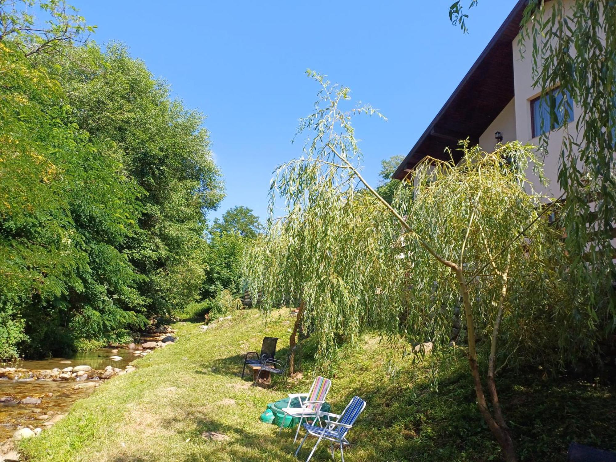Casa Radu Leilighet Novaci-Străini Eksteriør bilde