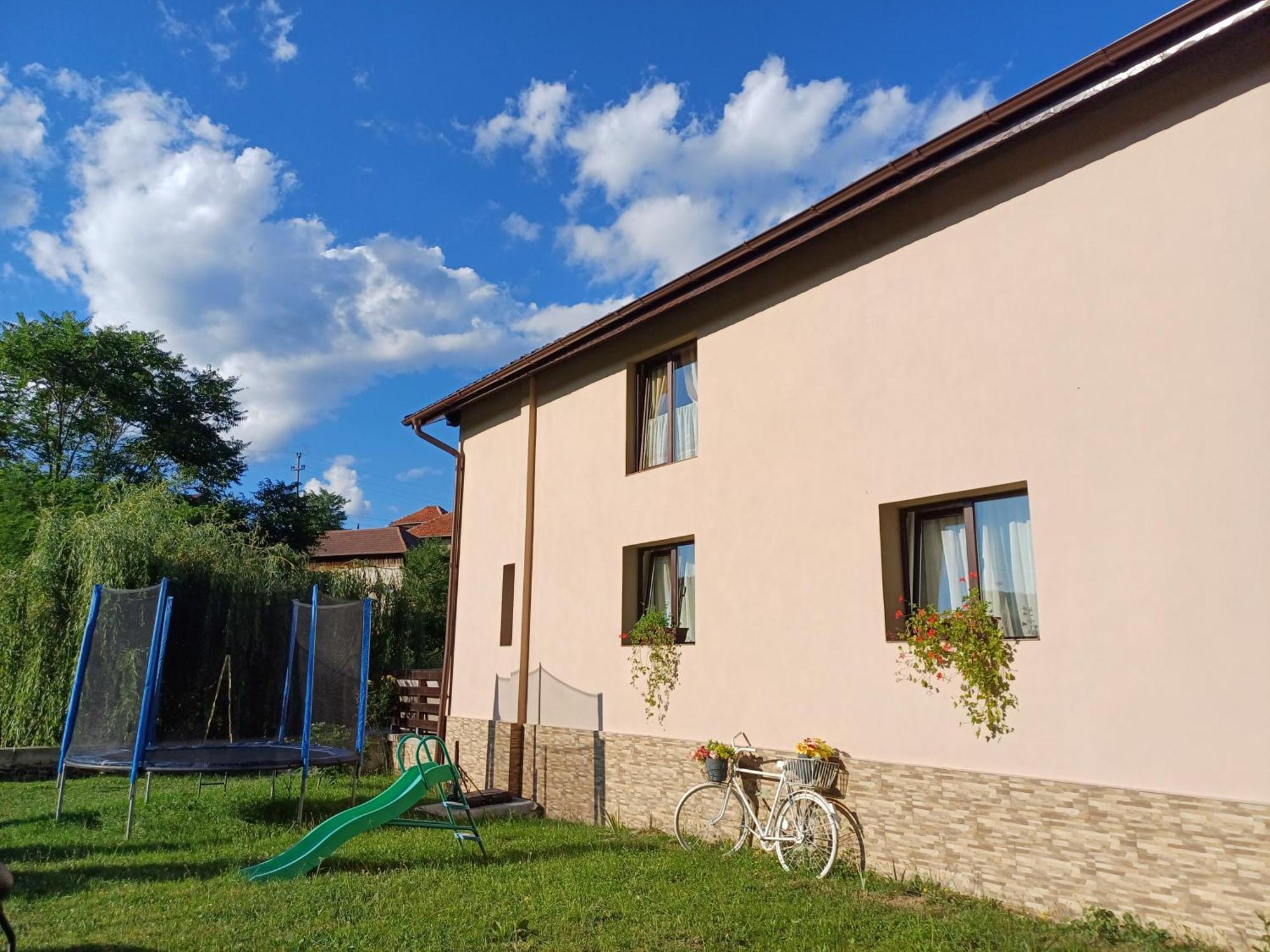 Casa Radu Leilighet Novaci-Străini Eksteriør bilde