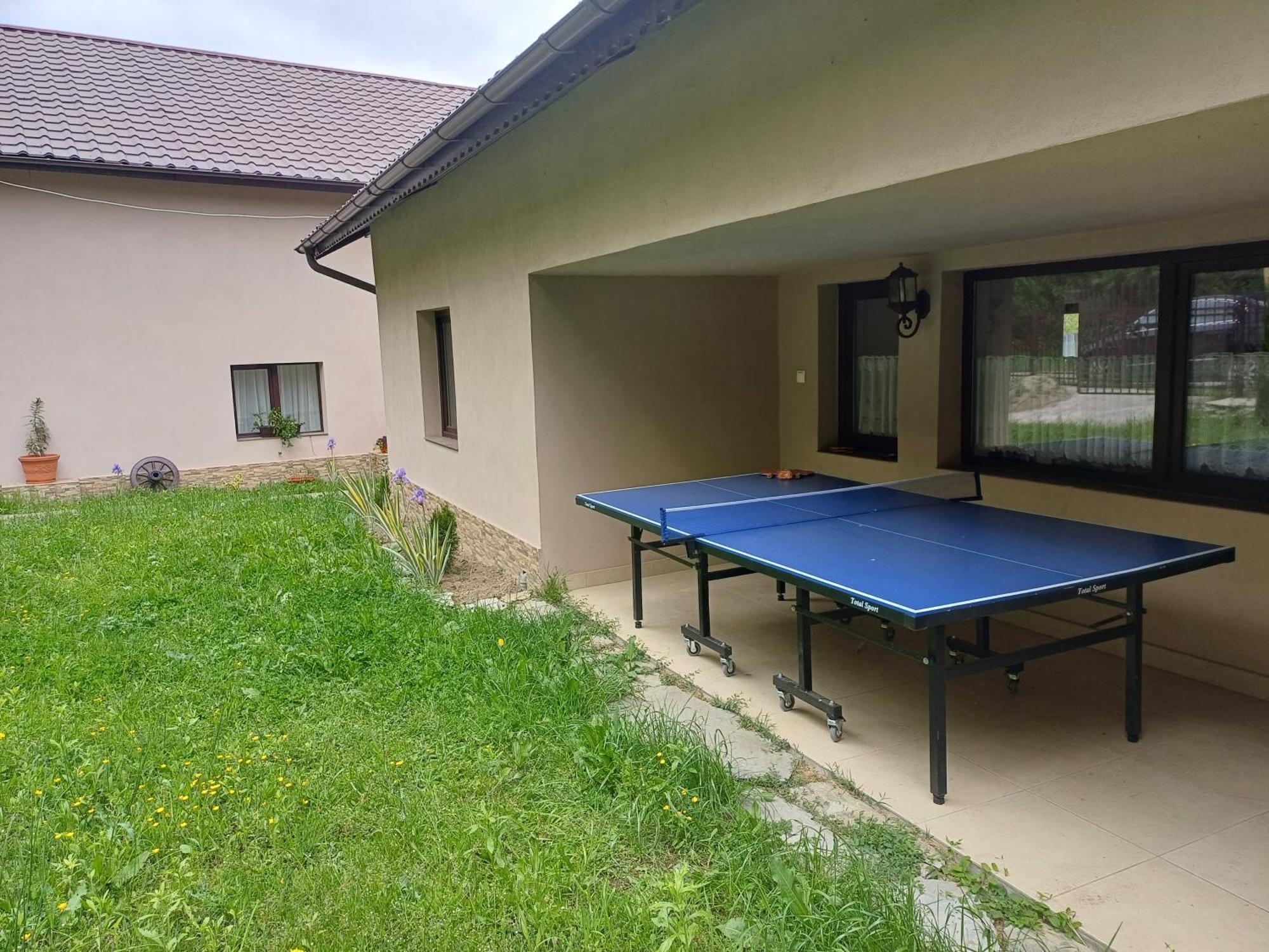 Casa Radu Leilighet Novaci-Străini Eksteriør bilde